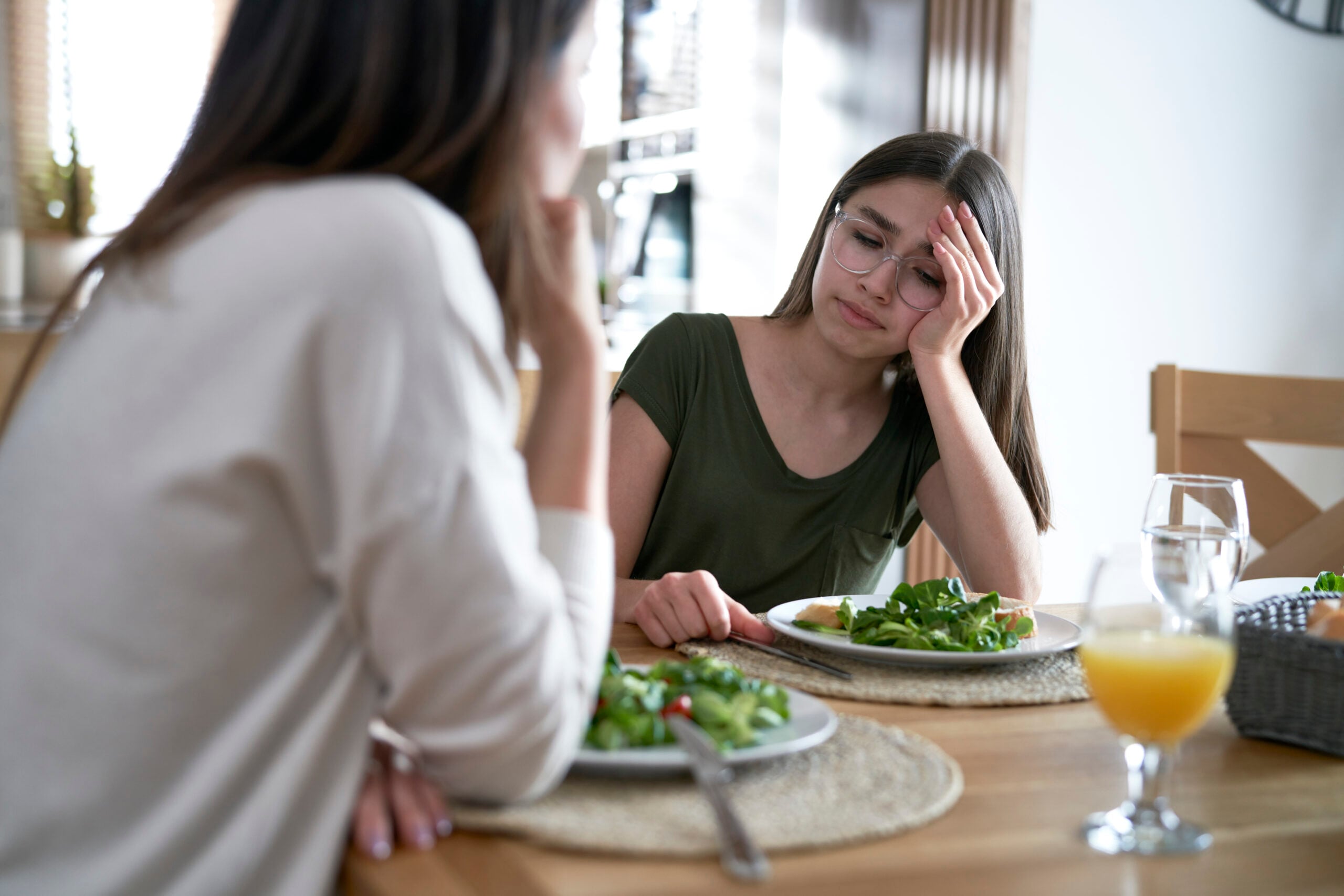 Eating disorder support session explaining where individuals can get help for emotional and behavioral recovery